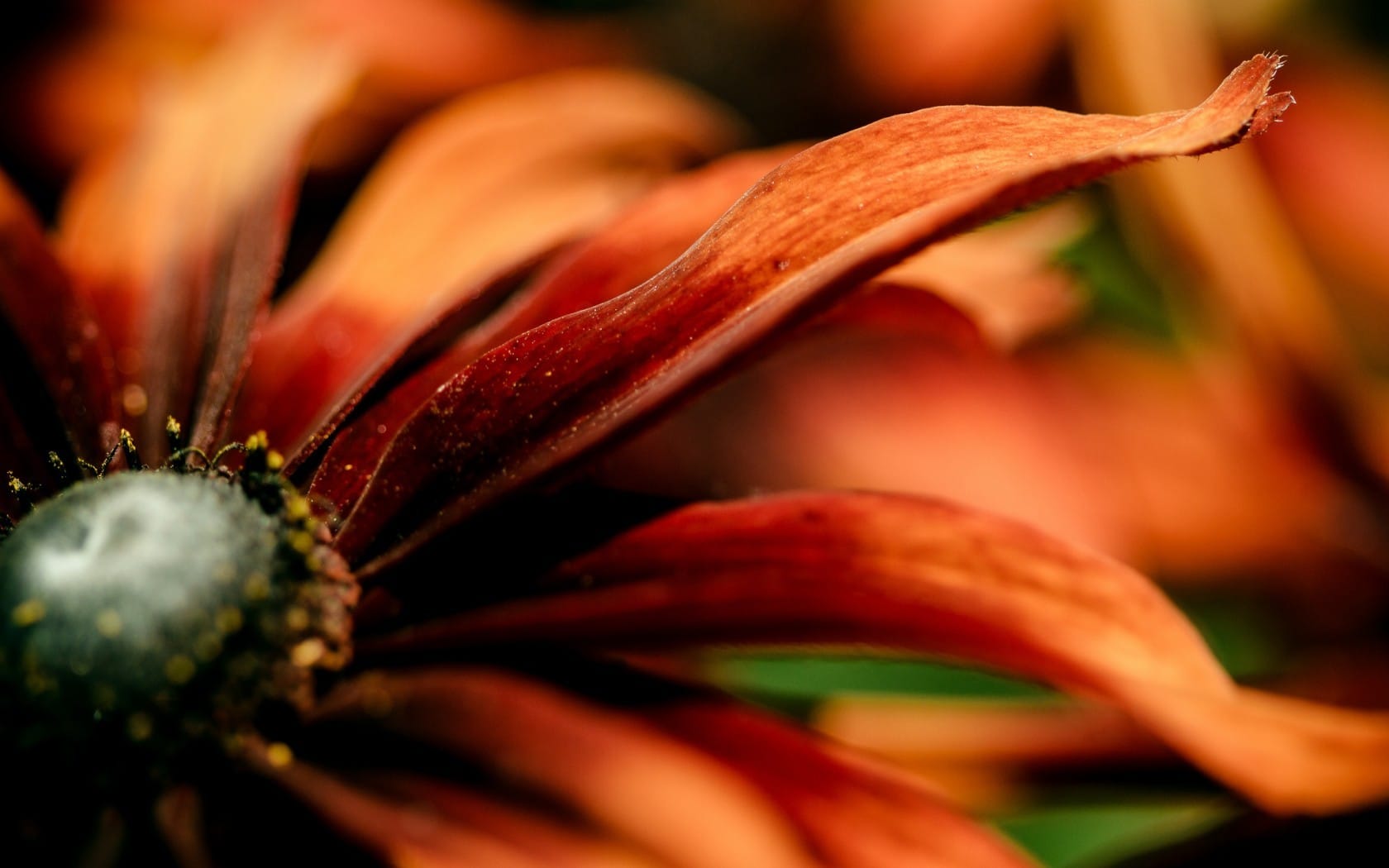 Test post